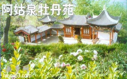 μ�ϡ�����ͬ�л��⡿4��24�հ���Ȫĵ��Է+����ɽ����һ����