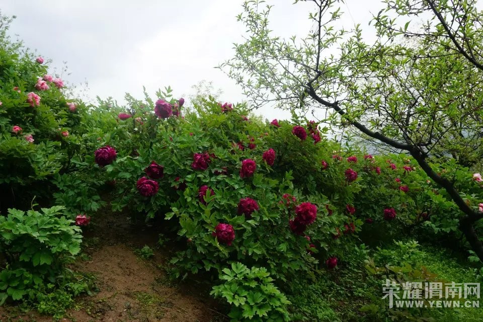 μ�ϡ�����ͬ�л��⡿4��24�հ���Ȫĵ��Է+����ɽ����һ����