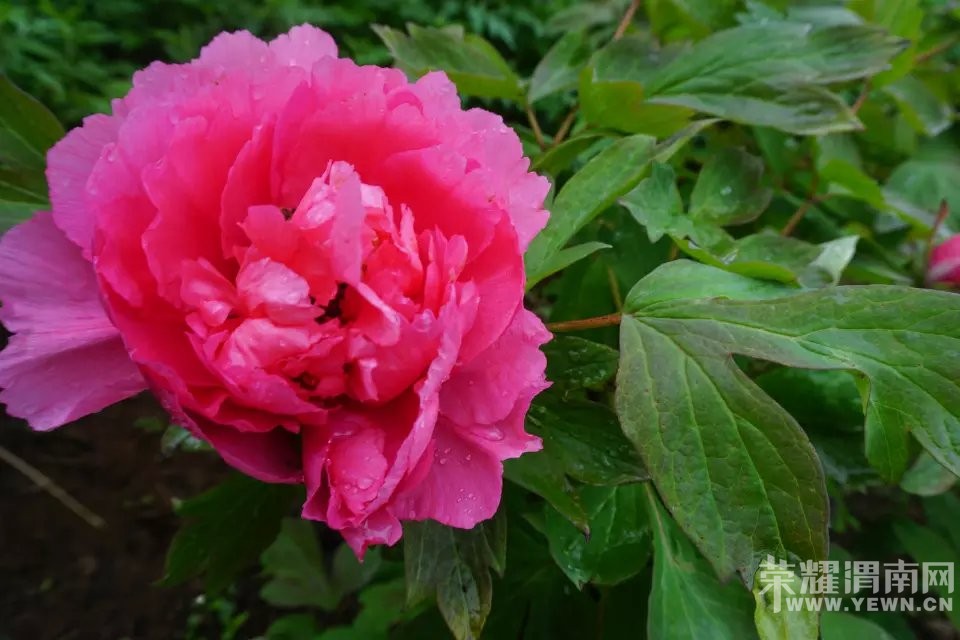 μ�ϡ�����ͬ�л��⡿4��24�հ���Ȫĵ��Է+����ɽ����һ����