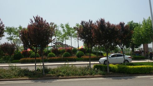 μ�ϡ�����ͬ�л��⡿4��23����Ķĵ��+������+±����+�Ġ�ׯ԰һ����