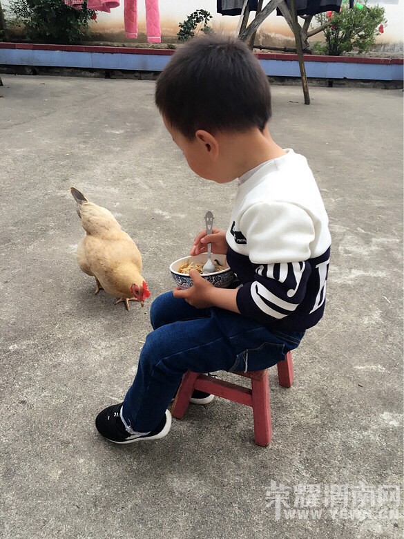 �����޺�С����ĺ�г�ദ���⻭��������