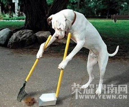 ���ﹷ��ش�С�㣬�޹����������ţ�