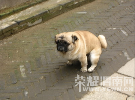 ���ﹷ��ش�С�㣬�޹����������ţ�