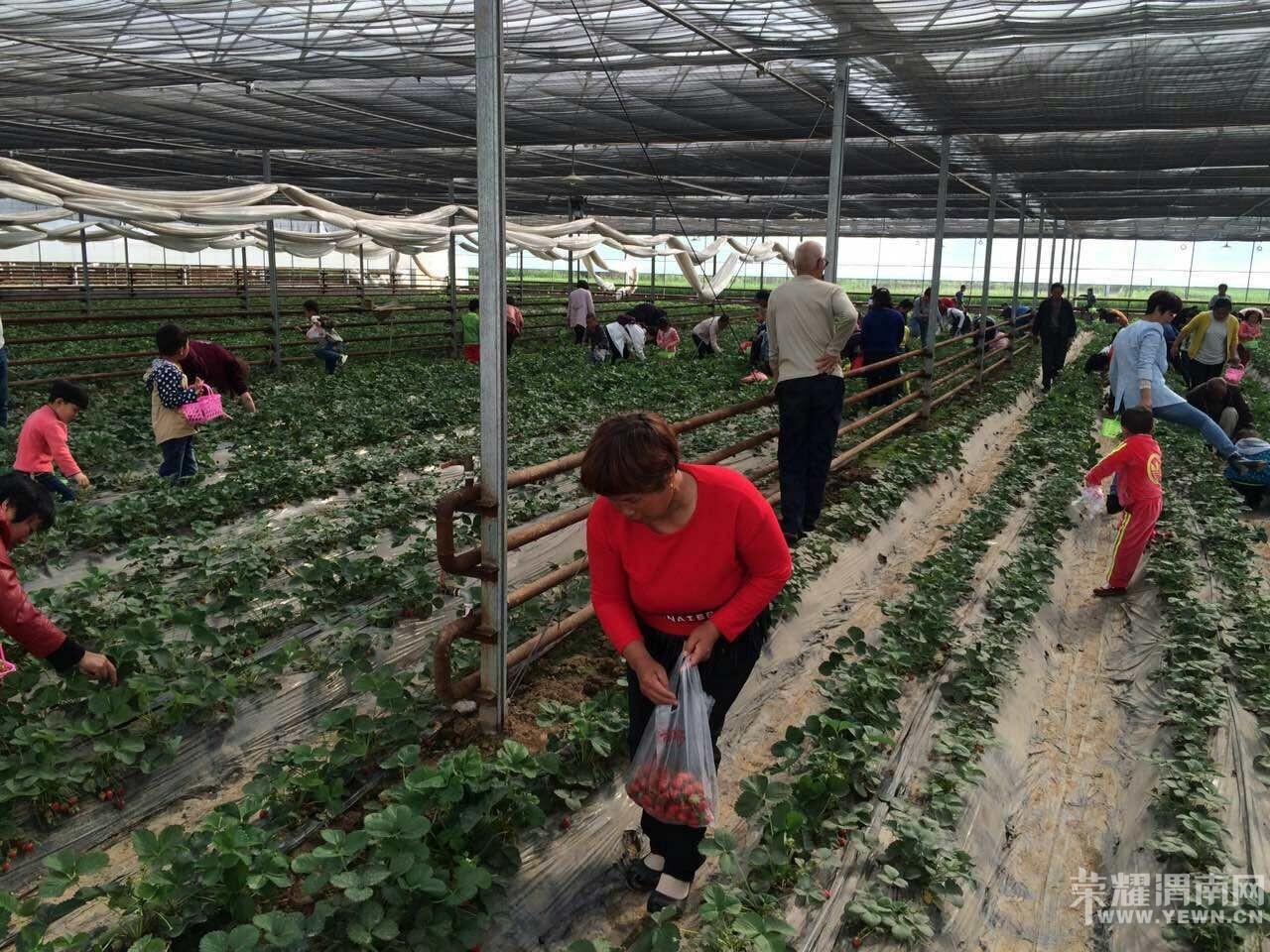 ��ʦ�׶�԰��չ�����Ͷ��л�óɾ͸С�����