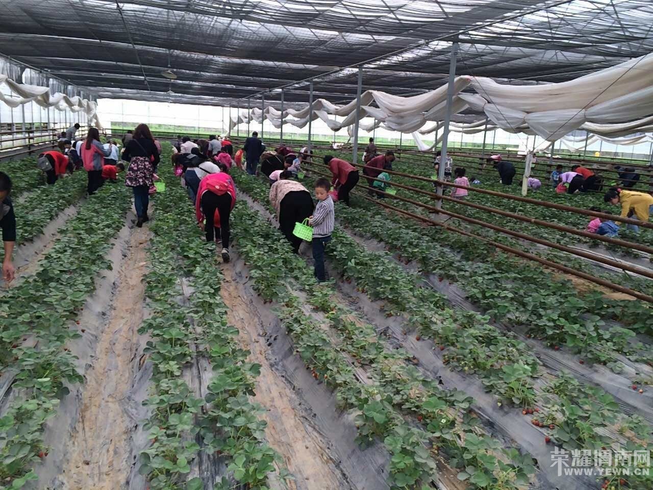 ��ʦ�׶�԰��չ�����Ͷ��л�óɾ͸С�����