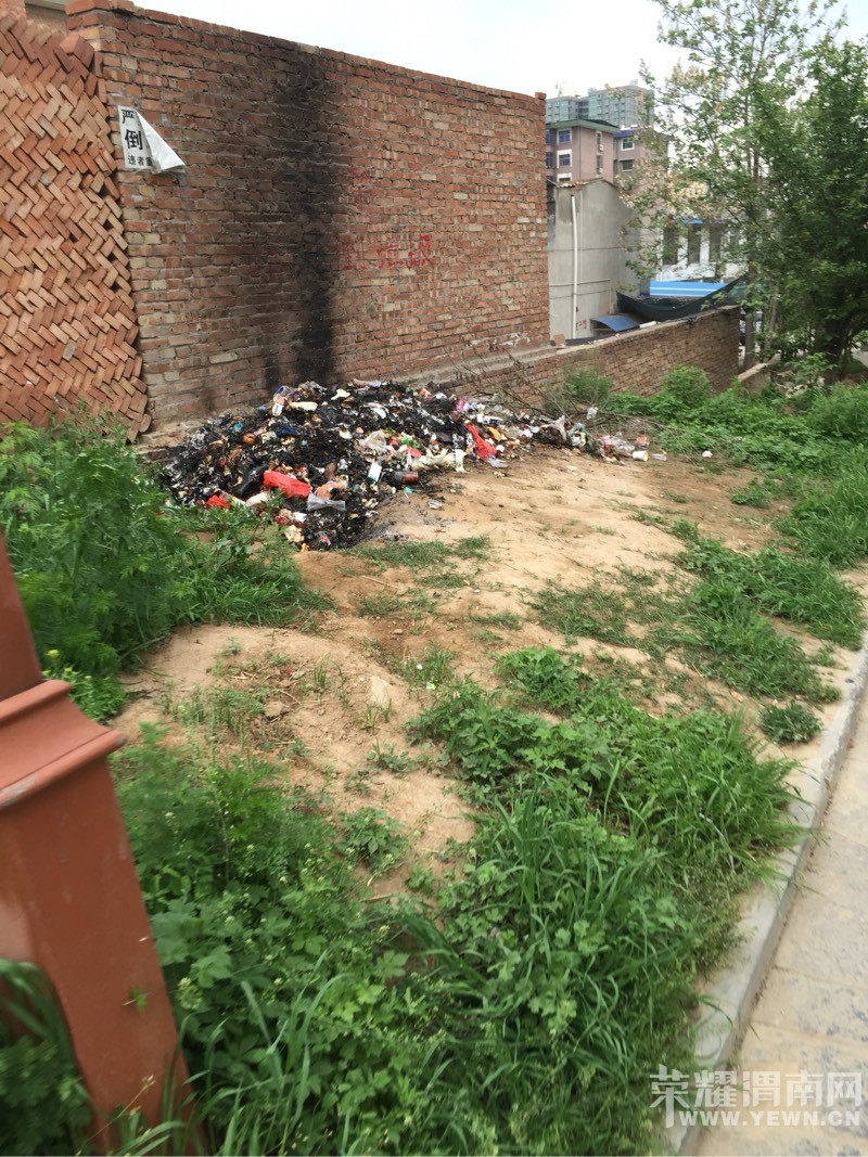 �Ⱥӹ�԰�����췴��������������������ô��