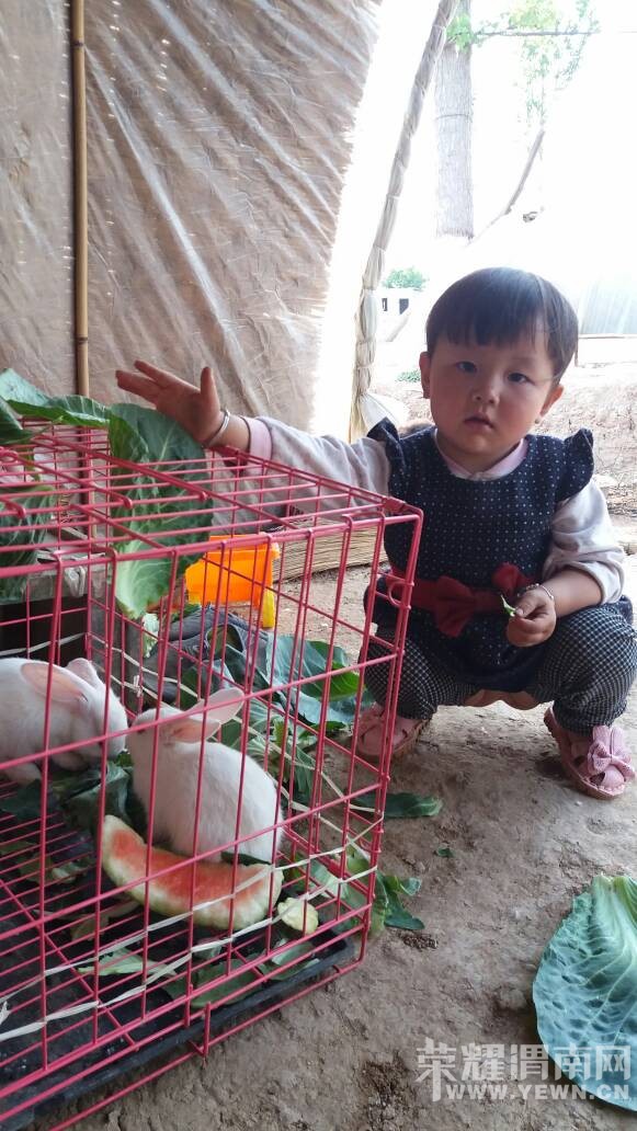 �����Ҽҵ�С������ô�����ǲ��Ǻܿɰ�ѽ��