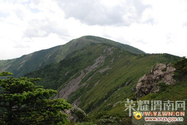 ����Խ���롿����4��30�š�ţ������ɭ�ֹ�԰һ�����й۾���