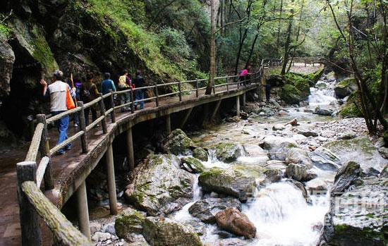 ����Խ���롿����4��30�š�ţ������ɭ�ֹ�԰һ�����й۾���