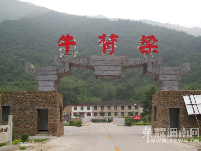 ����Խ���롿����4��30�š�ţ������ɭ�ֹ�԰һ�����й۾���