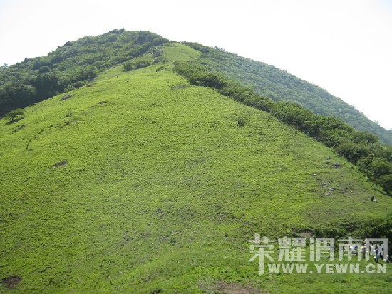 ����Խ���롿����4��30�š�ţ������ɭ�ֹ�԰һ�����й۾���