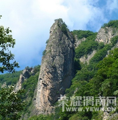 ����Խ���롿����4��30�š�ţ������ɭ�ֹ�԰һ�����й۾���