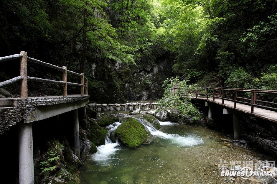 ����Խ���롿����4��30�š�ţ������ɭ�ֹ�԰һ�����й۾���