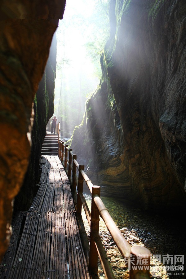 ����Խ���롿����4��30�š�ţ������ɭ�ֹ�԰һ�����й۾���