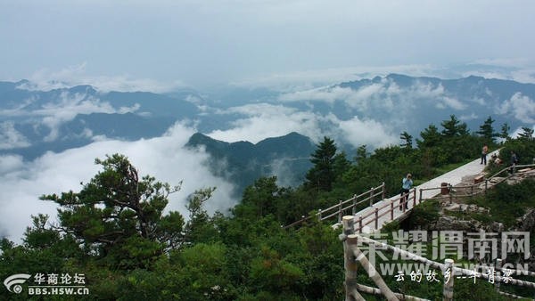 ����Խ���롿����4��30�š�ţ������ɭ�ֹ�԰һ�����й۾���