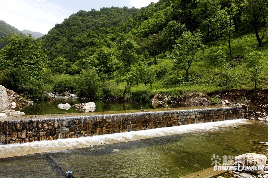 ����Խ���롿����4��30�š�ţ������ɭ�ֹ�԰һ�����й۾���