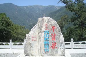 ����Խ���롿����4��30�š�ţ������ɭ�ֹ�԰һ�����й۾���