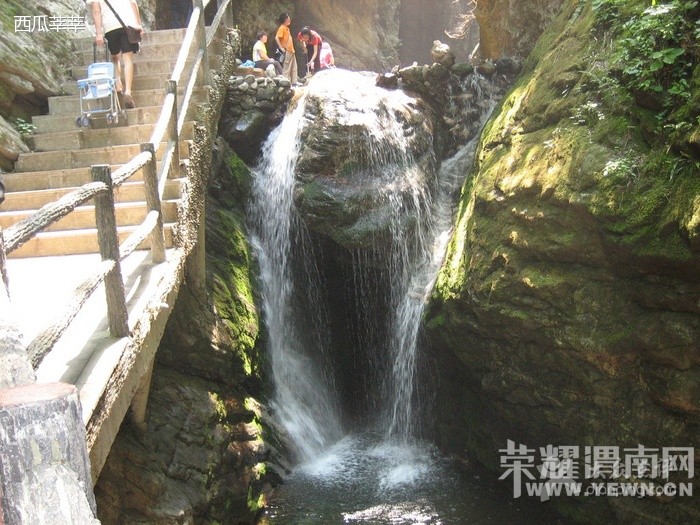 ����Խ���롿����4��30�š�ţ������ɭ�ֹ�԰һ�����й۾���