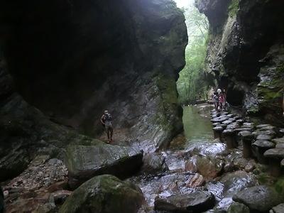 ����Խ���롿����4��30�š�ţ������ɭ�ֹ�԰һ�����й۾���