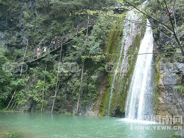 ����Խ���롿����4��30�š�ţ������ɭ�ֹ�԰һ�����й۾���