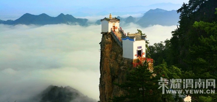 ����Խ���롿����4��30�š�ţ������ɭ�ֹ�԰һ�����й۾���