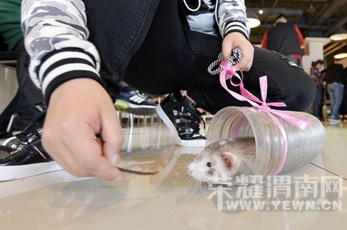 �������ɰ����³� ����ѩ���μ�"�����"���ƴ