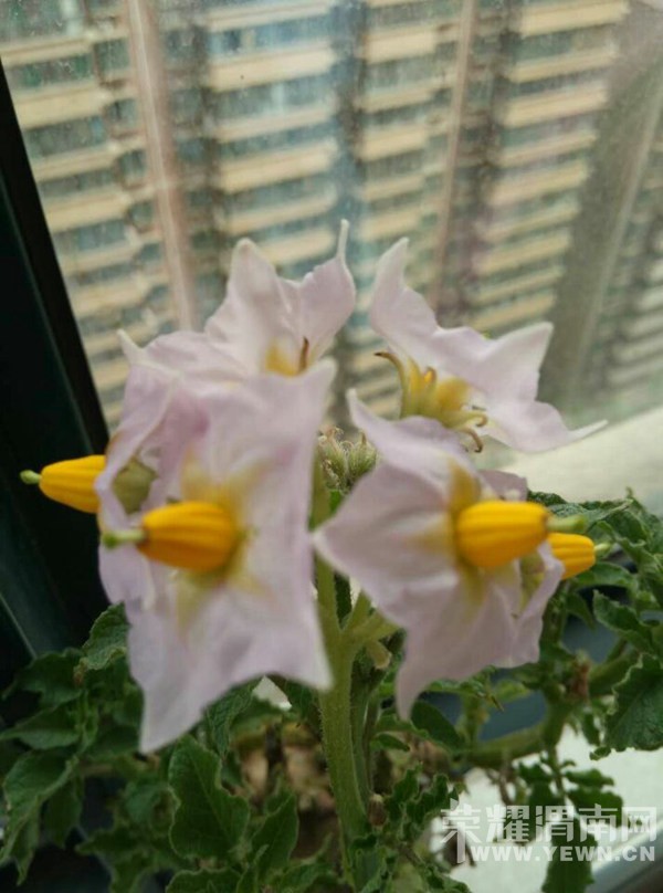 �Ҹ�˵����μ�Ϲ���û��֪������ʲô������֪����ô��