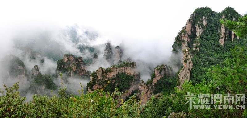 �żҽ�ɭ�ֹ�԰��������������