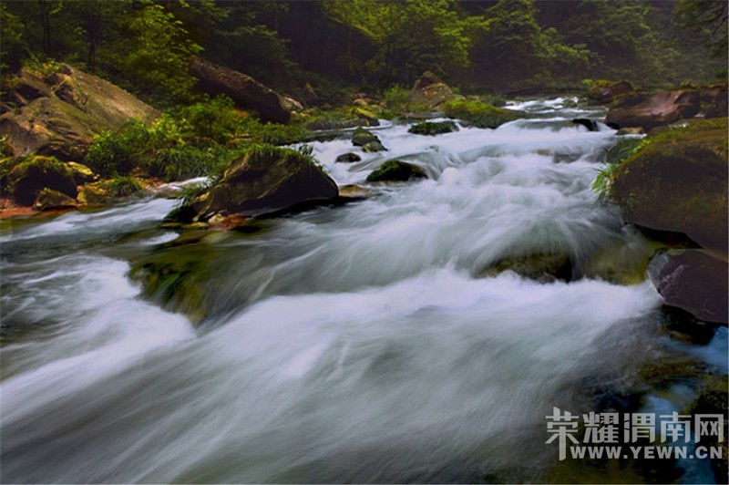 �żҽ�ɭ�ֹ�԰��������������