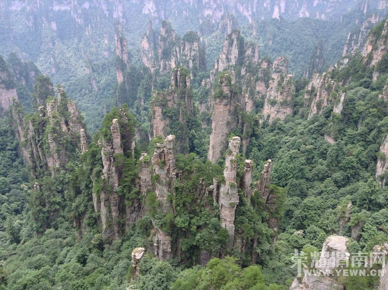 �żҽ�ɭ�ֹ�԰��������������