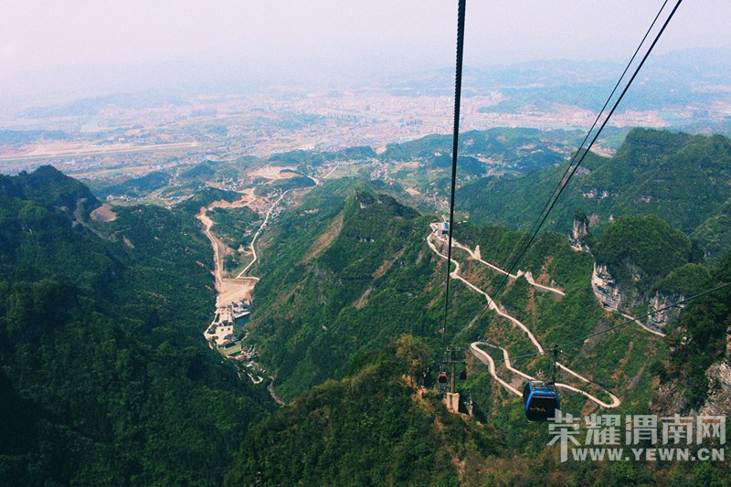 �żҽ�ɭ�ֹ�԰��������������