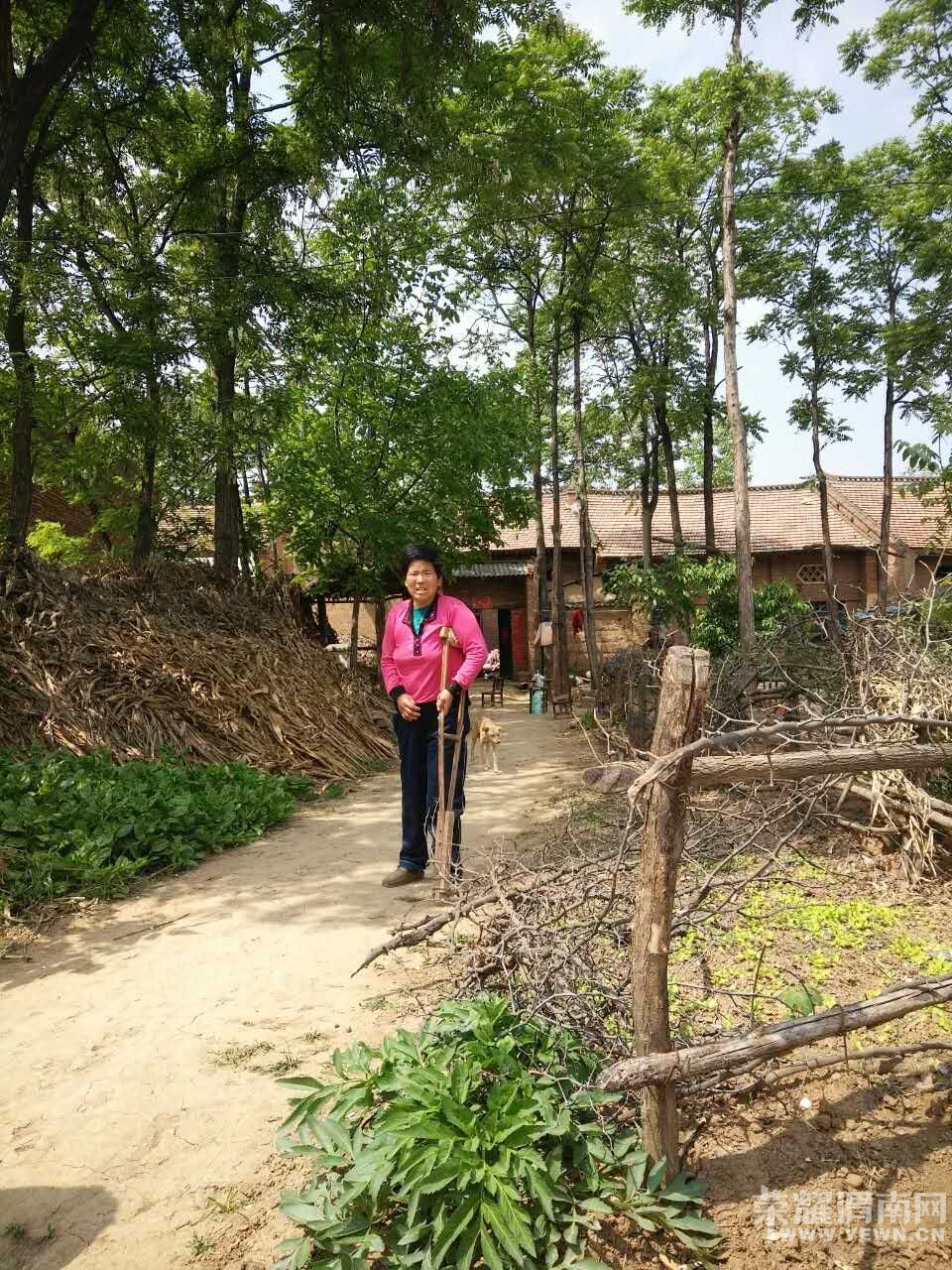  4��25�ջ�ܽ�