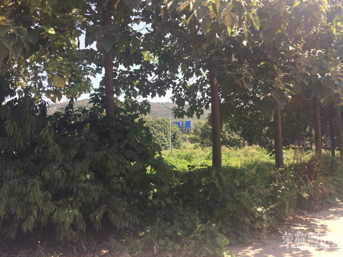 �����һ���Թ���μ��·���ζ�Դ��β���³��������12Ķ