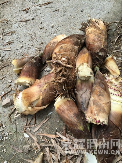 ������ȥ�Ͷ��ˣ���ҿ���֪������ɶ����