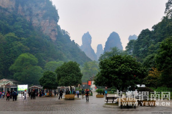 ����ת�����������żҽ�������