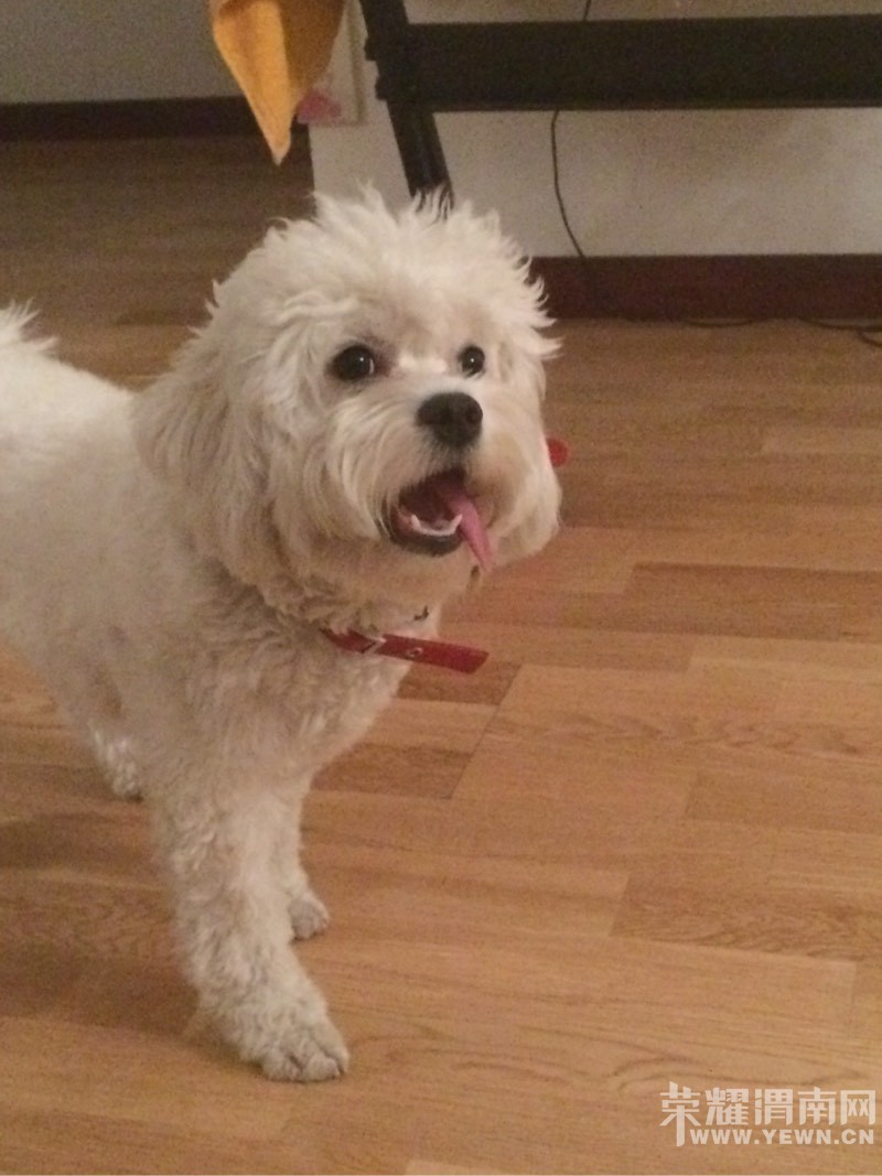 �������Ҽҿɰ���С����~~