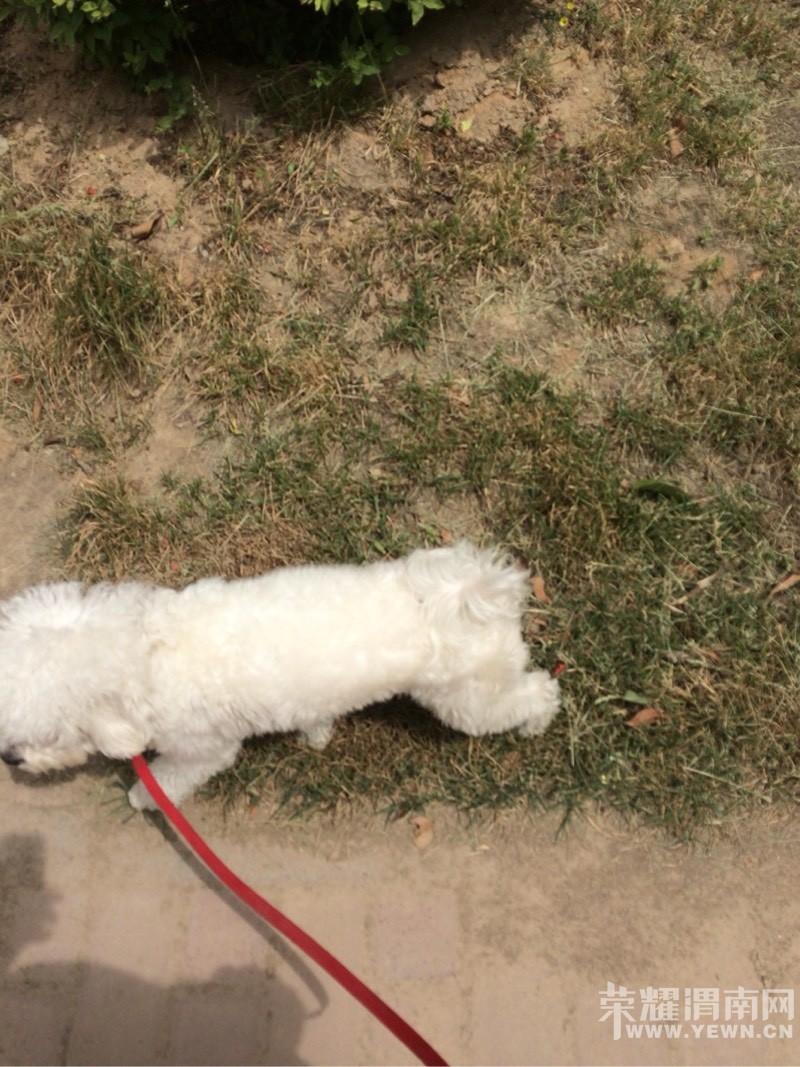 �������Ҽҿɰ���С����~~