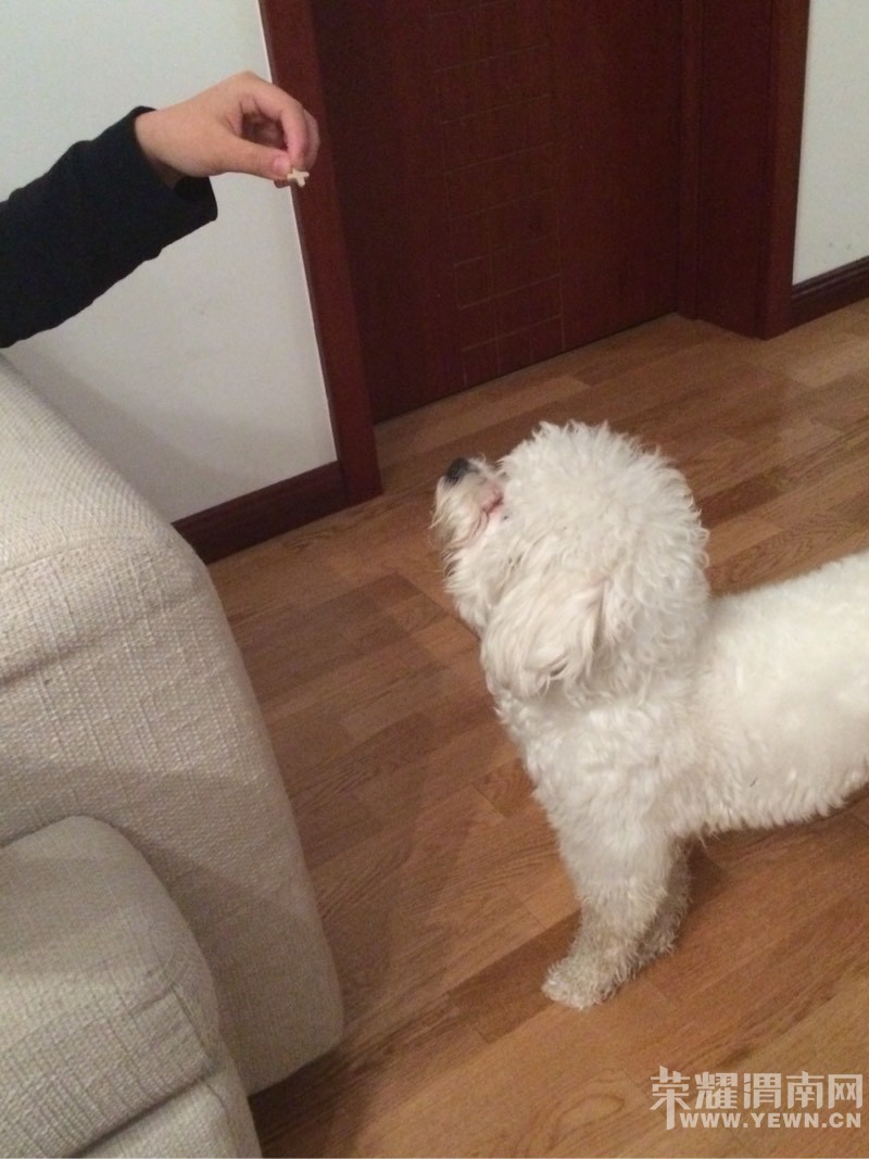 �������Ҽҿɰ���С����~~