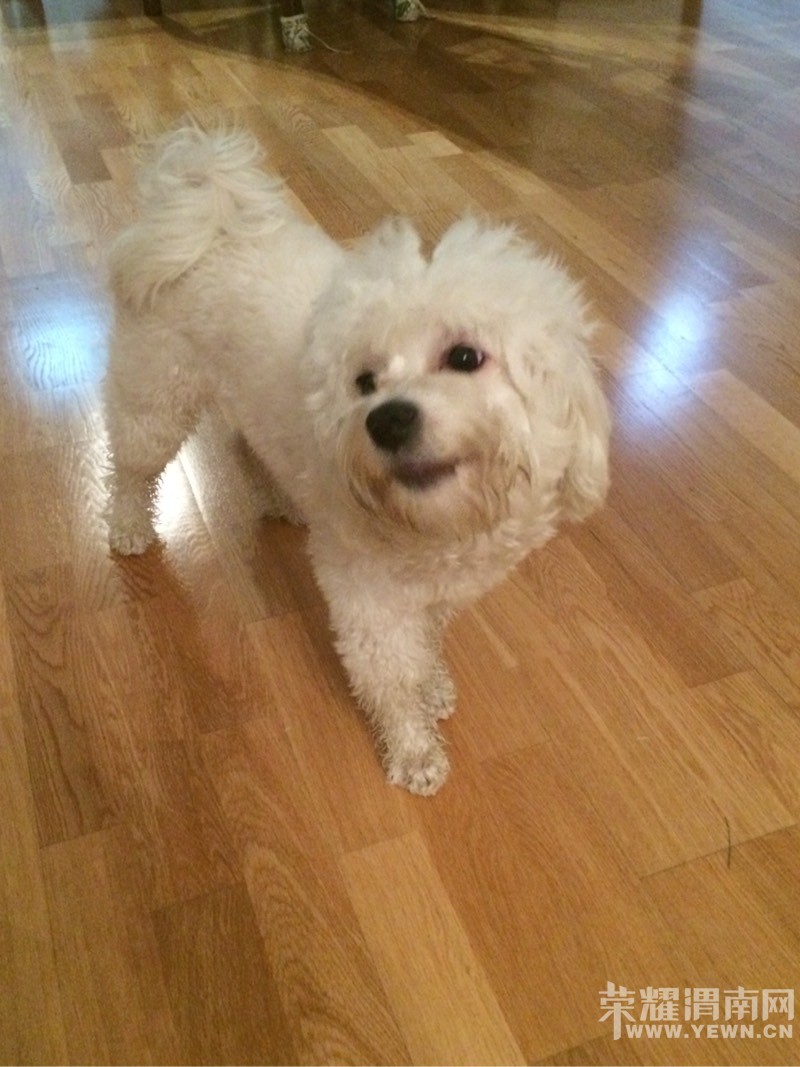 �������Ҽҿɰ���С����~~