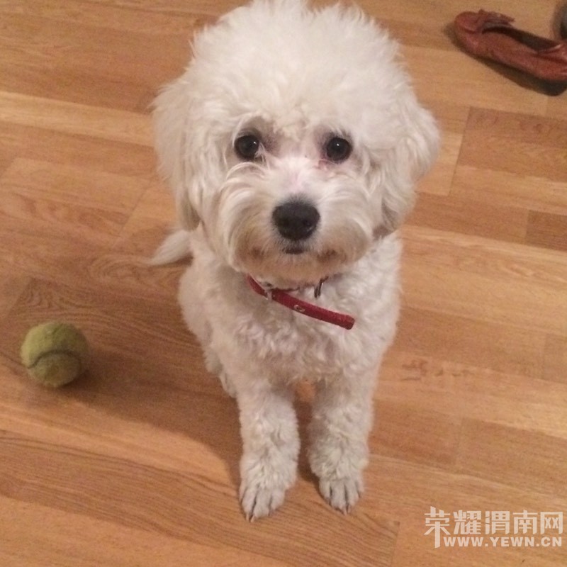 �������Ҽҿɰ���С����~~