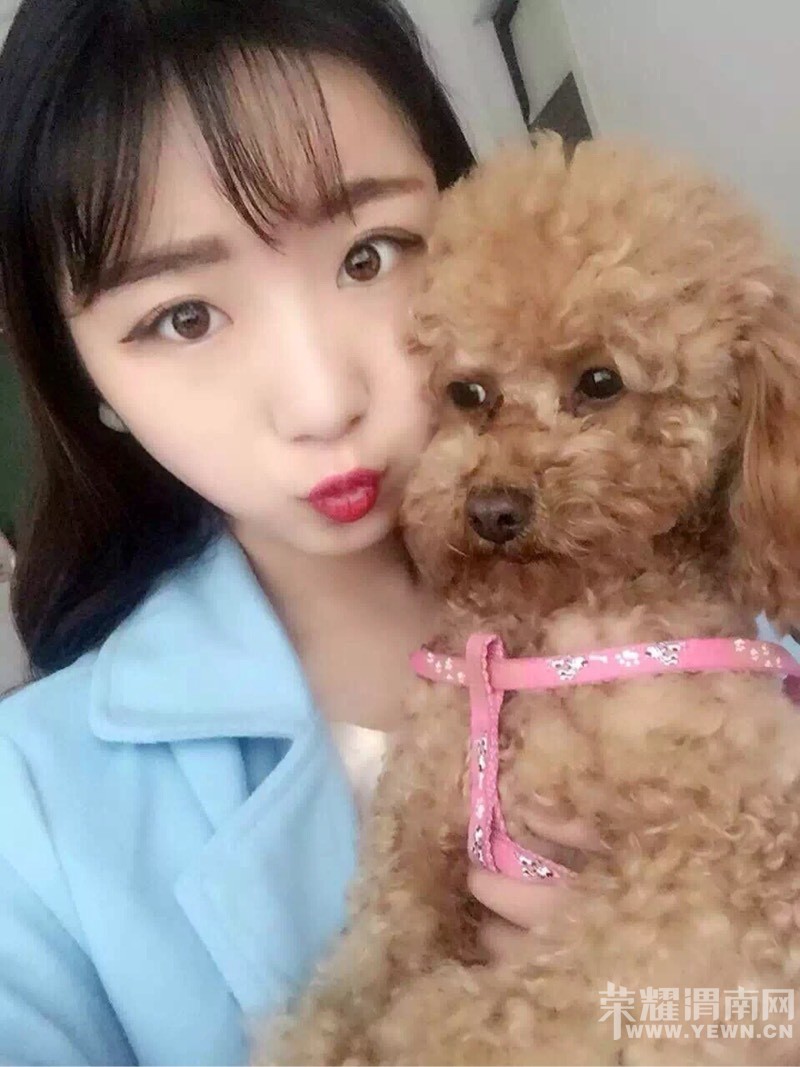 Ѱ�����Ҽ��椣�һ��ɫ̩�ϣ�5��4�ն��ˣ�������