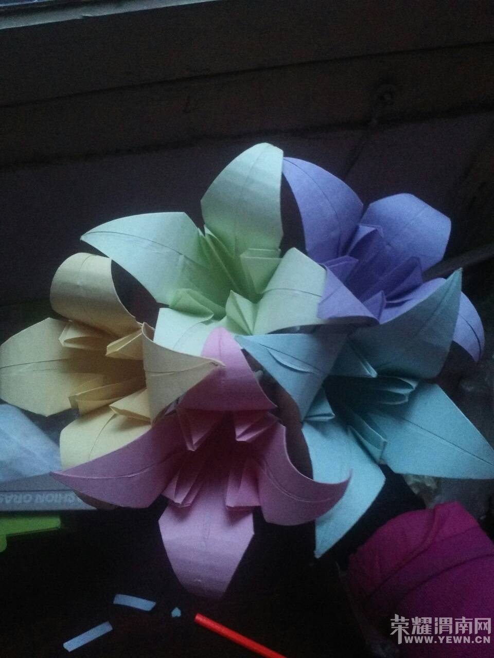 ĸ�׽ڿ��֡����������ҵİٺϻ����øж�~