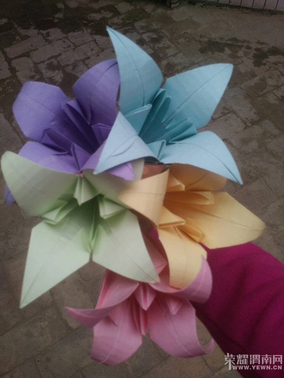 ĸ�׽ڿ��֡����������ҵİٺϻ����øж�~