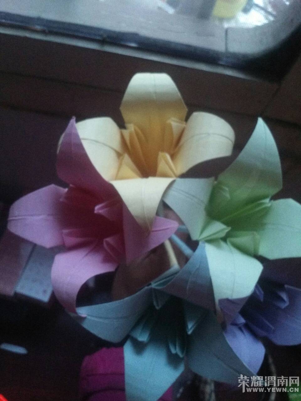 ĸ�׽ڿ��֡����������ҵİٺϻ����øж�~