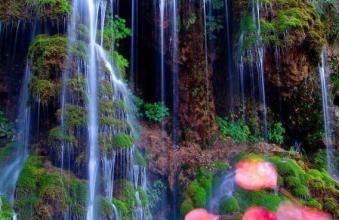 ����֮���롿�������� �ﴨ�ضɹ�&nbsp;���ڶ�2���� ��һ��һ