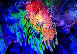 ����֮���롿�������� �ﴨ�ضɹ�&nbsp;���ڶ�2���� ��һ��һ