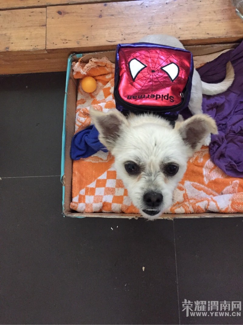 ����������µ����˹���ǰ����ȴ��ʧ�ˣ�������