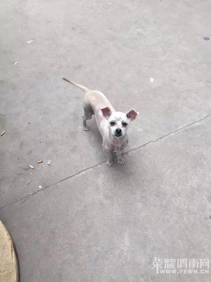 ����������µ����˹���ǰ����ȴ��ʧ�ˣ�������