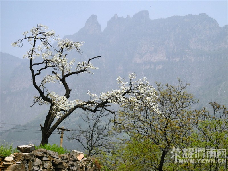 �й��и����ӣ�����������Σ�յĴ�ׯ��˭��ȥ�����ܸ�������һ������ɣ���