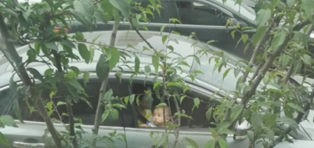 �������������ӵİ����ж��٣��ѵ����ǲ�֪�������Ա�����Σ����